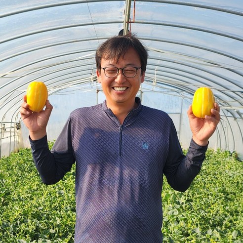 성주 꿀 참외 꼬마 가정용 선물용 못난이 3kg 5kg 10kg, 3kg 대과(4~6과 내외), 1개 성주참외 Best Top5 성주 꿀 참외 꼬마 가정용 선물용 못난이 3kg 5kg 10kg, 3kg 대과(4~6과 내외), 1개 성주참외 Best Top5