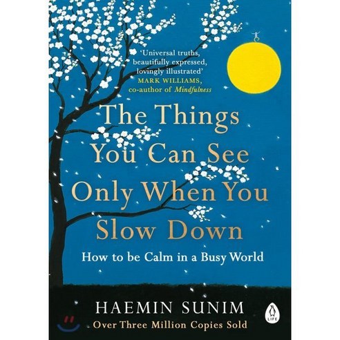 The Things You Can See Only When You Slow Down : How to be Calm in a Busy World Paperback 영국판, Penguin Books Ltd (UK)