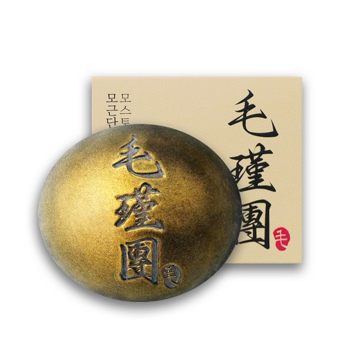 모스토리 모근단 탈모관리 고체샴푸 100g, 6개