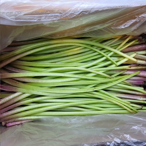 봄날 식탁의 향긋한 선물, 논산 머위대로 건강을 채우다 머위대