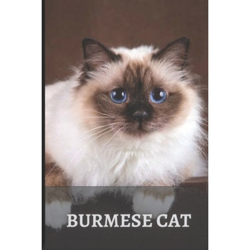 (영문도서) Burmese Cat: The Perfect Cat for Beginners Paperback, Independently Published, English, 9798512500309