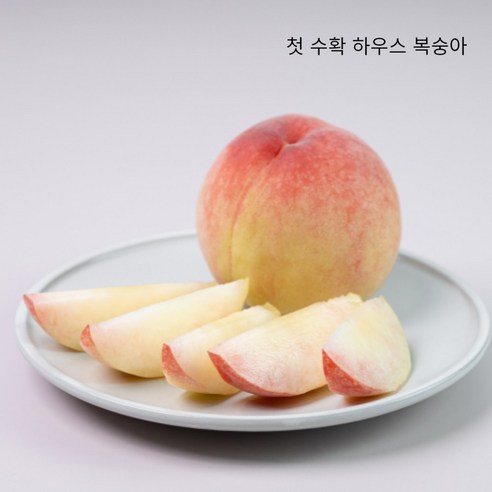 첫수확 하우스복숭아 백도 황도 산지직송 햇복숭아, 1개, 백도 2kg(14-16과) 신비복숭아