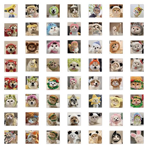 동물 강아지 고양이 60매 노트북 동물 방수 리무버블 스티커, 1세트, 60매(C0004)