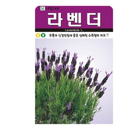 허브씨앗 라벤더 씨앗, 1개
