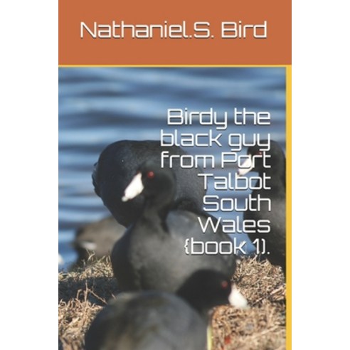 Birdy the black guy from Port Talbot South Wales {book 1). Paperback, Independently Published