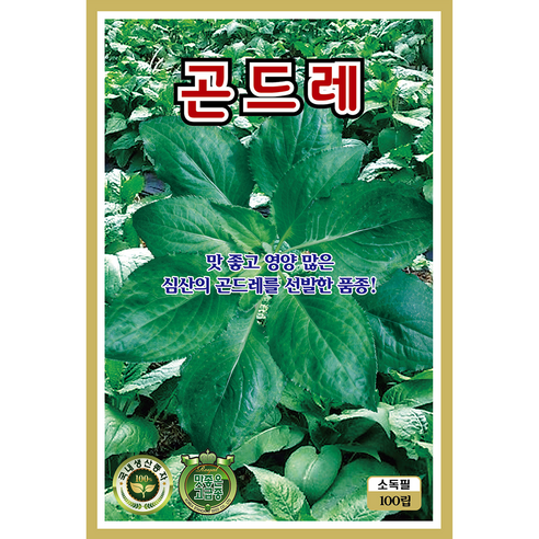 토종채소 씨앗 모음 종자 산나물 민속야채 재래종 고들빼기 곤드레 곰취 냉이 명이나물 방풍, 2개