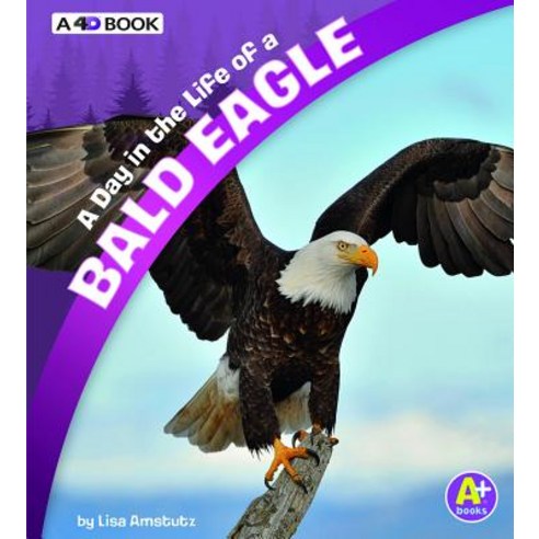 A Day in the Life of a Bald Eagle: A 4D Book Paperback, Pebble Books