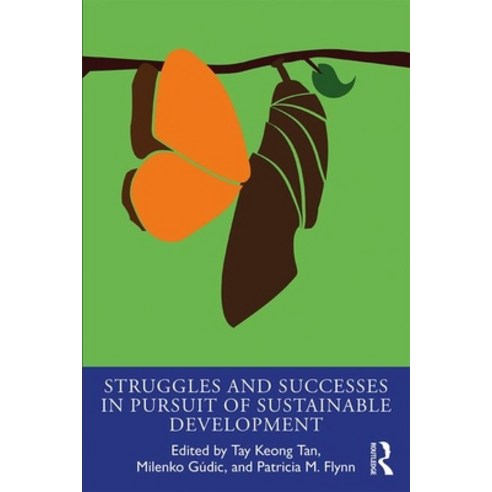 Struggles and Successes in the Pursuit of Sustainable Development Paperback, Routledge