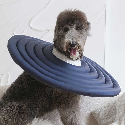 [OKㅣ강추] 두유레디 강아지 넥카라 고양이 겸용 방수 [OKNOWㅣ추천상품]