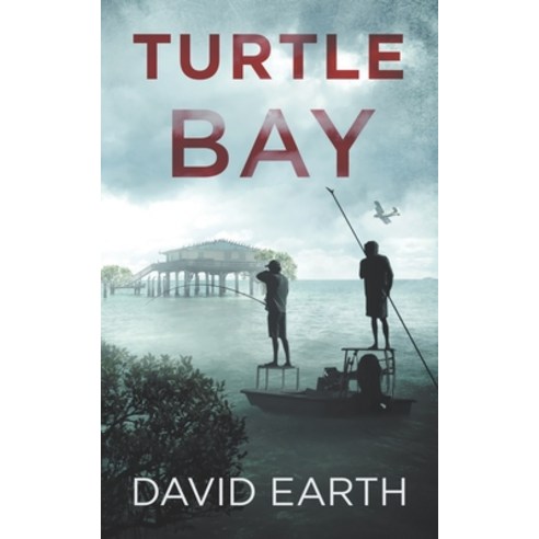 (영문도서) Turtle Bay Paperback, Earth, English, 9781734459012