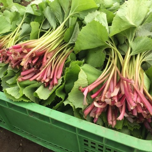 봄의 활력을 담은 이메골 머위나물로 식탁에 향긋함을 더하세요.