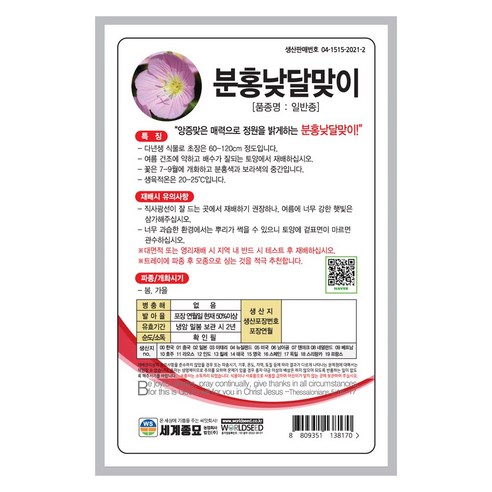 삭막한 일상에 핑크빛 설렘을 더하는 분홍낮달맞이 꽃씨앗