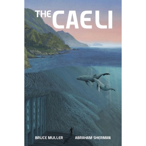 (영문도서) The Caeli: The Odyssey of Melamuri Paperback, Trilogy Christian Publishing, English, 9781685567958