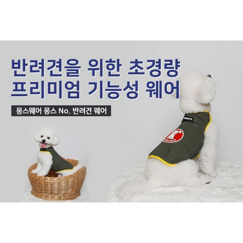애견의 사계절 편안함을 보장하는 프리미엄 강아지옷