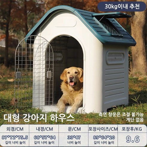 반려견을 위한 완벽한 공간