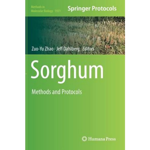 (영문도서) Sorghum: Methods and Protocols Hardcover, Humana, English, 9781493990382