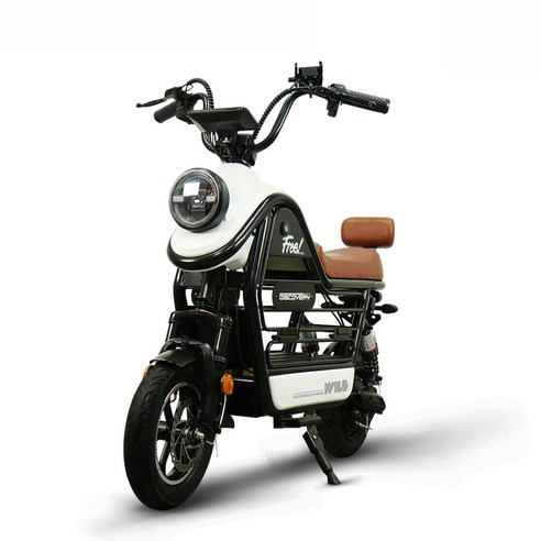 레이윙디스커버리와일드 추천 상품레이윙 디스커버리 와일드 S20 750W 미니 전동스쿠터 제품 사진