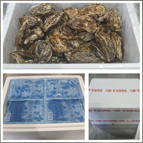 싱싱하고 깔끔하게 세척된 통영굴을 편리하게 즐기세요.