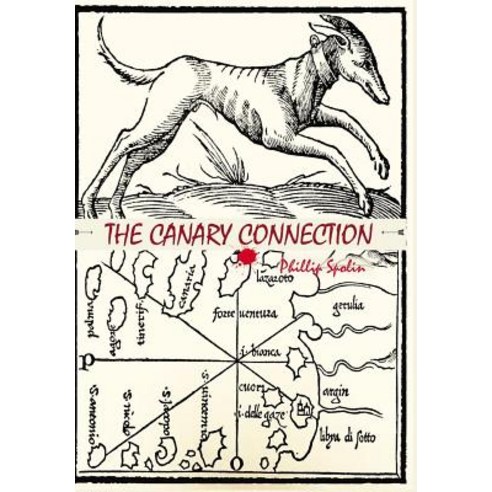 The Canary Connection Hardcover, Phillip Spolin, English, 9781642555523