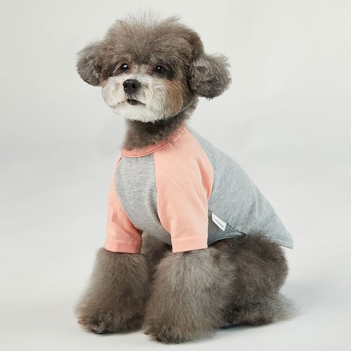 럭키페터 나그랑 강아지 옷 소형견 대형견 티셔츠 실내복 강아지 내복 그레이시리즈, 그레이/피치, 1개