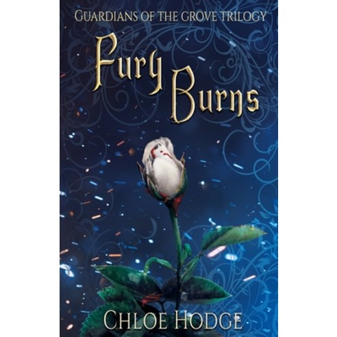 (영문도서) Fury Burns Paperback, Chloe Hodge, English, 9780648599784