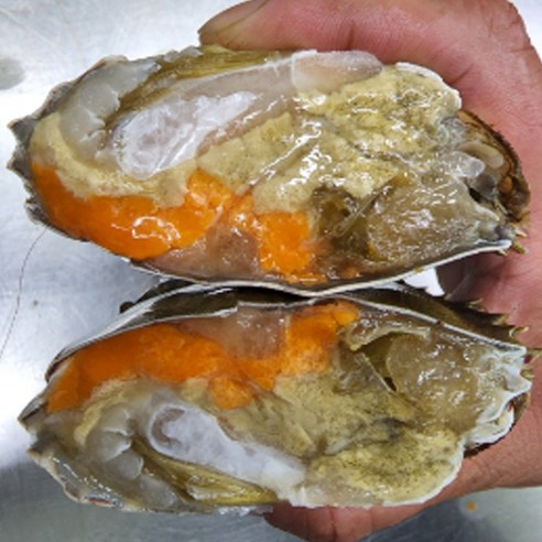 연평도의 신선하고 영양가 높은 암꽃게