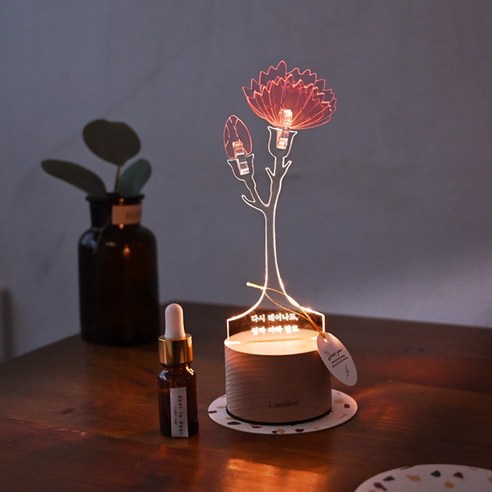 밤에도 피어나는 사랑, 카네이션 무드등으로 마음을 전하세요