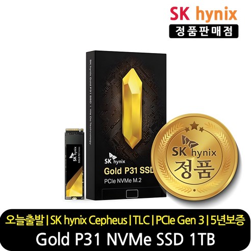 SK하이닉스 Gold P31 M.2 NVMe (1TB)