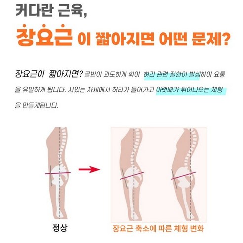 75% 할인의 기회! [더건강하게] 장요근 스트레칭 근막이완 허리 마사지기로 건강한 허리를 되찾으세요!