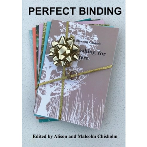 (영문도서) Perfect Binding Paperback, Lulu.com, English, 9781312946514
