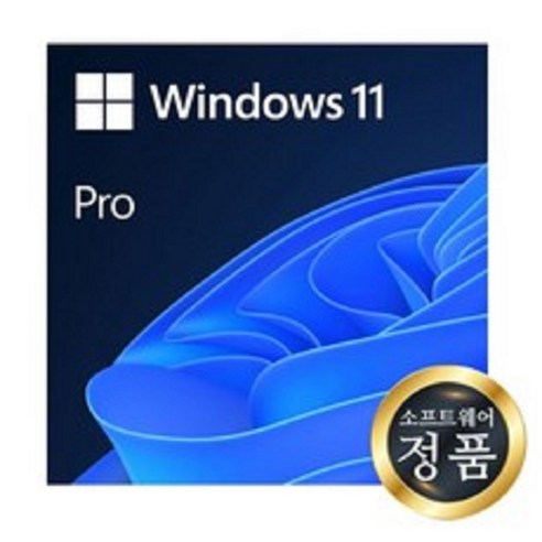 답답한 PC 환경 벗어나기 Microsoft Windows 11 Pro로