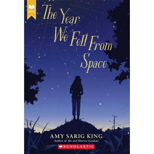 (영문도서) The Year We Fell from Space (Scholastic Gold) Paperback, Scholastic Inc., English, 9781338236453