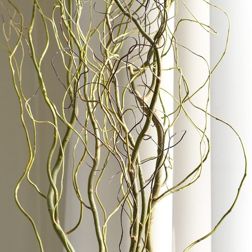 곱슬버들 생화 그린 소재: 스타일과 기능성의 완벽한 조화