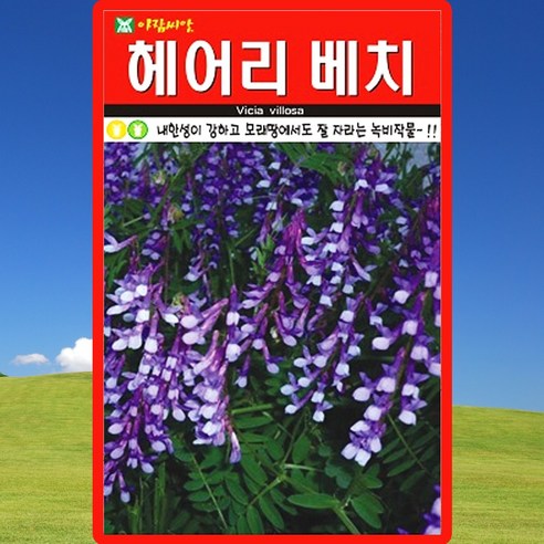 아람종묘 헤어리베치 씨앗 20g 덩굴성 녹비작물 종자, 단품