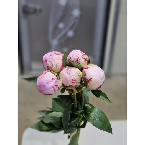 5월의 여왕, 작약 한 단으로 집 안에 봄을 들이세요 작약