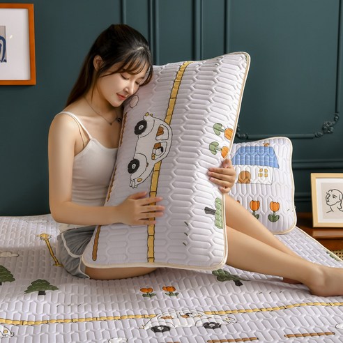 INEFF 만화 베갯잇 귀여운 라텍스 베갯잇 2개 고급 베갯잇 48*74cm, 9