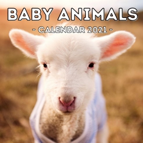 (영문도서) Baby Animals Calendar 2021: 16-Month Calendar Cute Gift Idea For Animal Lovers Women & Men Paperback, Independently Published, English, 9798513810452