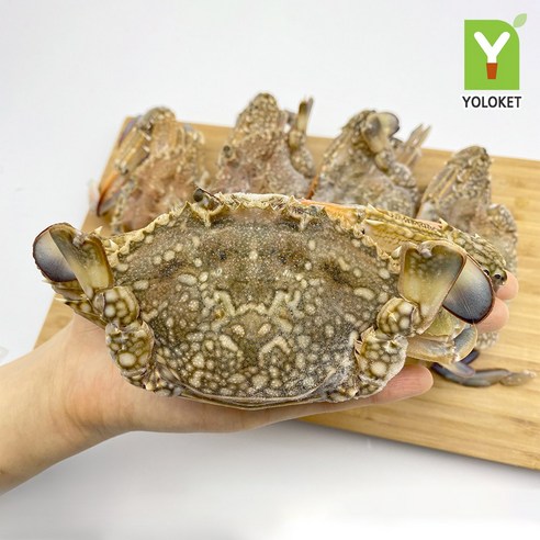 [잇팅나우ㅣ인기상품] 해산물 애호가의 꿈: 풍부한 알배기 꽃게의 다양한 즐거움 [EatingNOWㅣ추천상품]