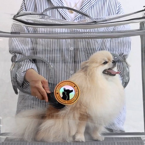 프롬비 펫드라이룸으로 즐거운 목욕 후 시간!
