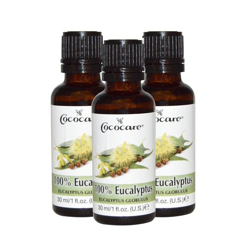 코코케어 유칼립투스 오일, 30ml, 3개
