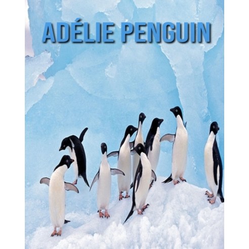 Adélie Penguin: Amazing Facts & Pictures Paperback, Independently Published
