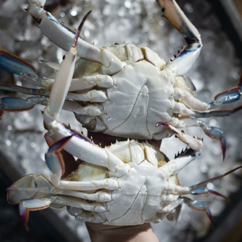 (꽃게미가) 국산 연평도 가을숫꽃게 봄암꽃게 알배기 급냉꽃게 1kg, -3._국산 서해제철 급랭 숫꽃게 中 3-5미, 1개