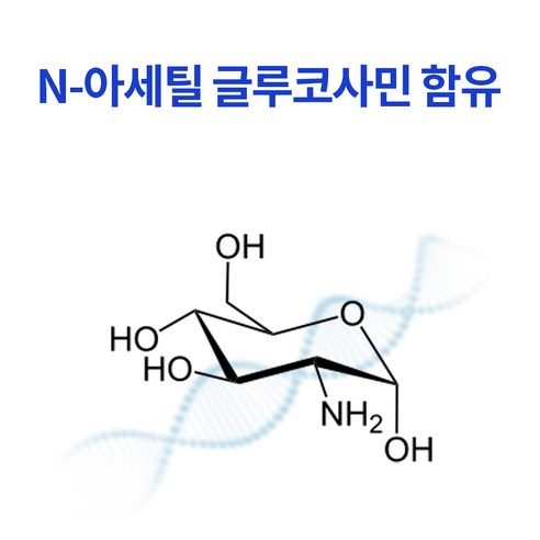 활력 넘치는 일상을 위한 현명한 선택, 웰핏 소연골 콘드로이친 1200 MBP