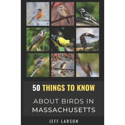 (영문도서) 50 Things to Know About Birds in Massachusetts: Birding in the Bay State Paperback, Independently Published, English, 9798541360240