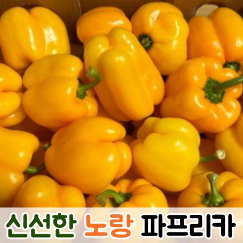 청피망, 2개입, 4개 파프리카 13 국산 싱싱한 아삭아삭 못난이 노랑 파프리카 1kg 2kg 5kg / 못난이파프리카 야채 파프리카5kg 노랑파프리카 파프리카노랑 못난이파프리카혼합, 1개