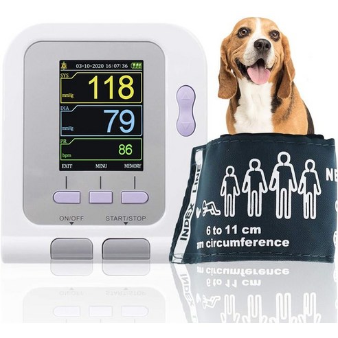 우리 댕냥이 혈압 관리, 이제 집에서 편하게! CONTEC 수의사 전자 혈압계 사용 후기 강아지혈압계