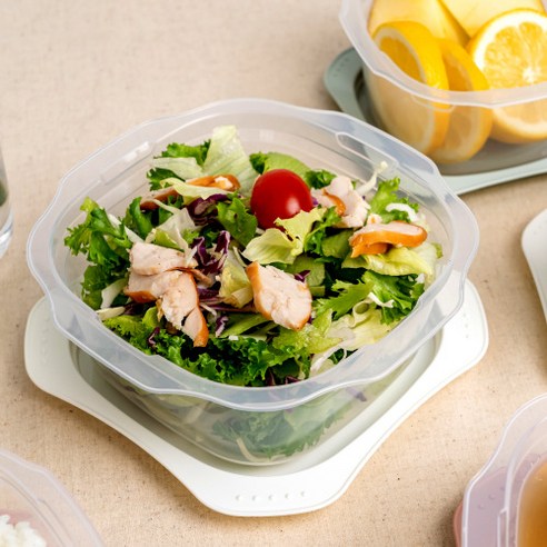싱글만랩 냉동밥보관용기: 신선한 밥을 더 편리하고 건강하게 보관하고 즐기세요.