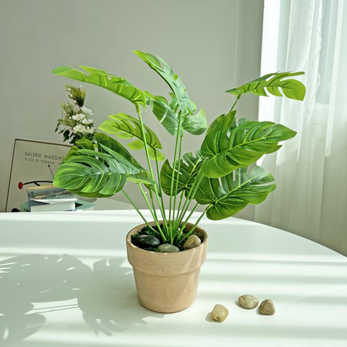 싱그러움을 집안 가득, 베누디 그리너리 보태니컬 화분 조화 몬스테라 이야기 조화화분