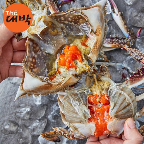 봄 꽃게 온라인 구매, 꼼꼼한 확인으로 실패를 줄이자!