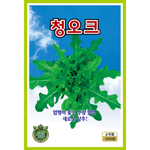 쌈채소 씨앗 모음 종자 상추 치커리 로메인 깻잎 쌈채, 2개